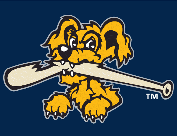 Charleston Riverdogs 2011-2015 Cap Logo 2 iron on paper